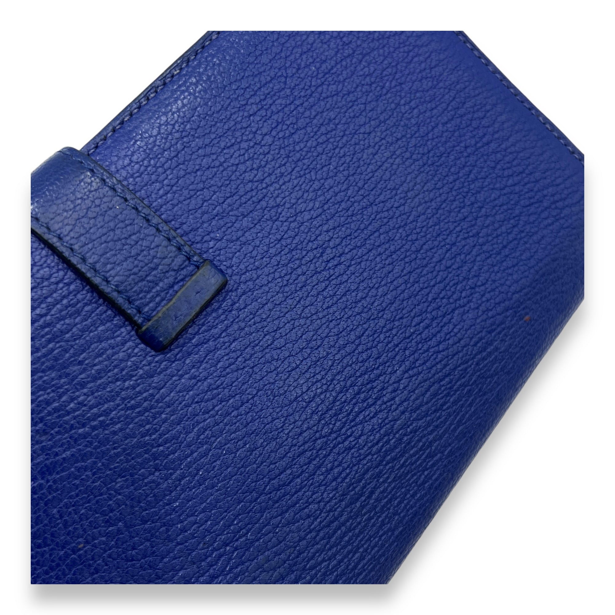 Bearn Blue in Chevre Mysore, Gold hardware - Image 9